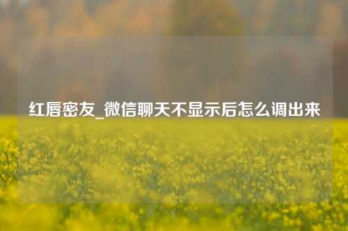 红唇密友_微信聊天不显示后怎么调出来