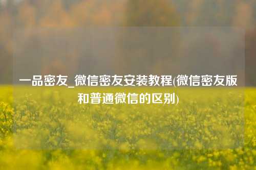 一品密友_微信密友安装教程(微信密友版和普通微信的区别)