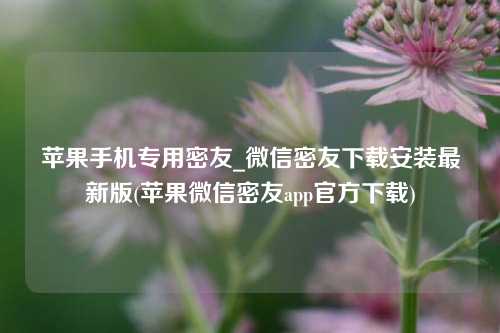 苹果手机专用密友_微信密友下载安装最新版(苹果微信密友app官方下载)