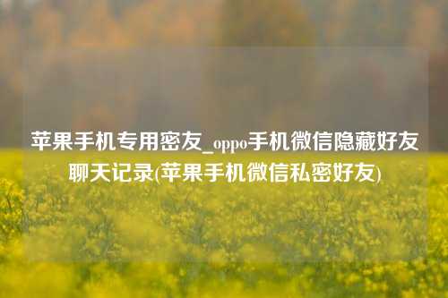 苹果手机专用密友_oppo手机微信隐藏好友聊天记录(苹果手机微信私密好友)