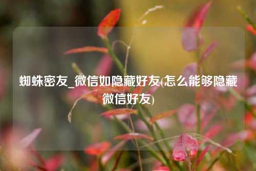 蜘蛛密友_微信如隐藏好友(怎么能够隐藏微信好友)