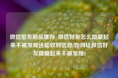 微信密友新品推荐_微信好友怎么隐藏起来不被发现还能收到信息(如何让微信好友隐藏起来不被发现)