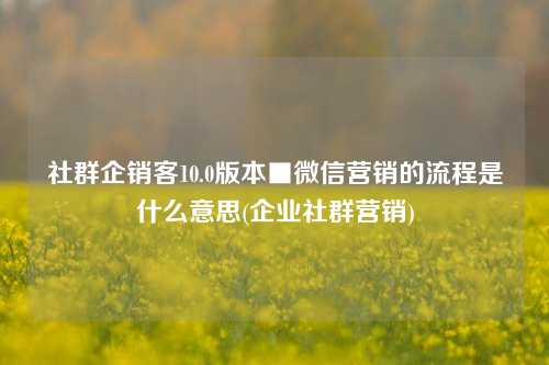 社群企销客10.0版本■微信营销的流程是什么意思(企业社群营销)