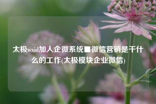 太极wxid加人企微系统■微信营销是干什么的工作(太极模块企业微信)