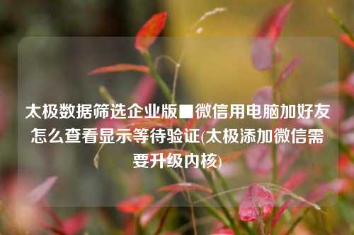 太极数据筛选企业版■微信用电脑加好友怎么查看显示等待验证(太极添加微信需要升级内核)