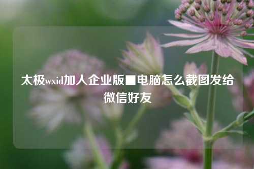 太极wxid加人企业版■电脑怎么截图发给微信好友