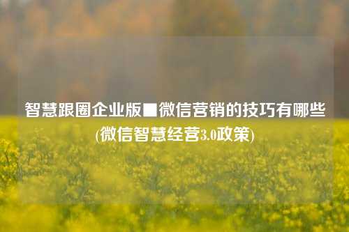 智慧跟圈企业版■微信营销的技巧有哪些(微信智慧经营3.0政策)