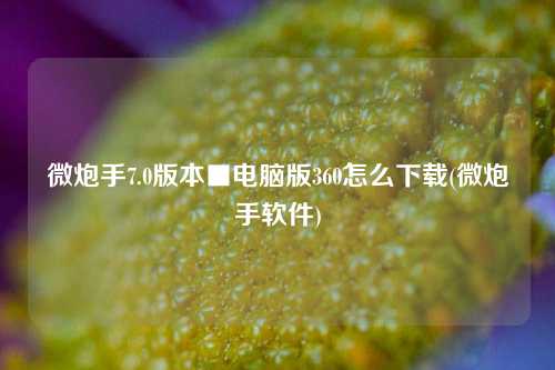 微炮手7.0版本■电脑版360怎么下载(微炮手软件)