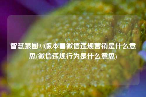 智慧跟圈9.0版本■微信违规营销是什么意思(微信违规行为是什么意思)