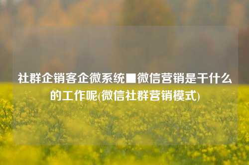 社群企销客企微系统■微信营销是干什么的工作呢(微信社群营销模式)