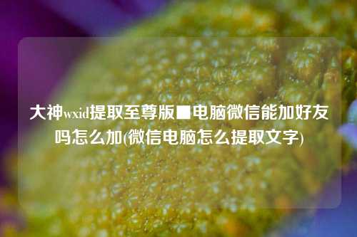 大神wxid提取至尊版■电脑微信能加好友吗怎么加(微信电脑怎么提取文字)