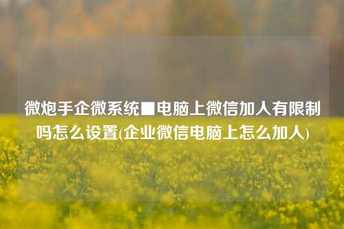 微炮手企微系统■电脑上微信加人有限制吗怎么设置(企业微信电脑上怎么加人)