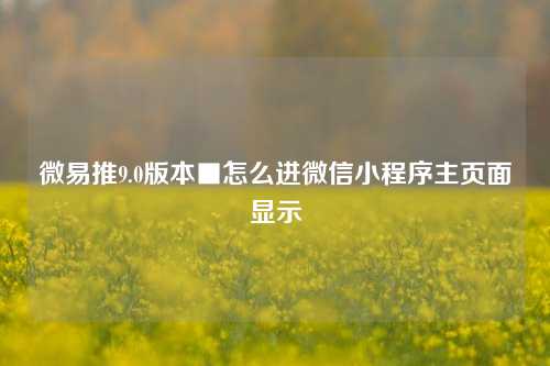 微易推9.0版本■怎么进微信小程序主页面显示