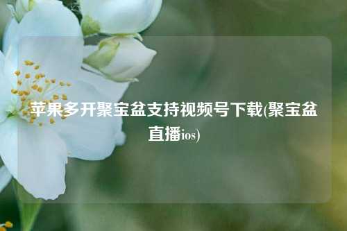 苹果多开聚宝盆支持视频号下载(聚宝盆直播ios)