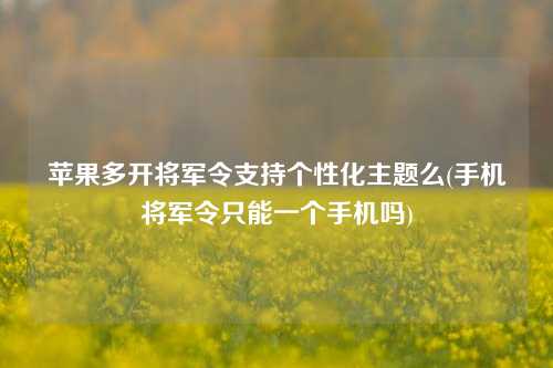 苹果多开将军令支持个性化主题么(手机将军令只能一个手机吗)