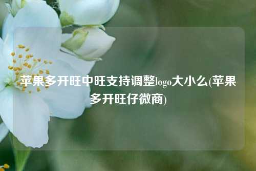 苹果多开旺中旺支持调整logo大小么(苹果多开旺仔微商)