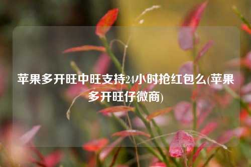 苹果多开旺中旺支持24小时抢红包么(苹果多开旺仔微商)