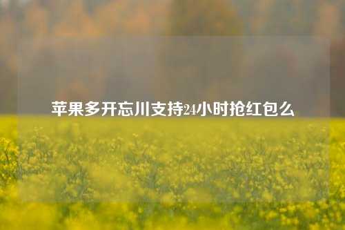 苹果多开忘川支持24小时抢红包么