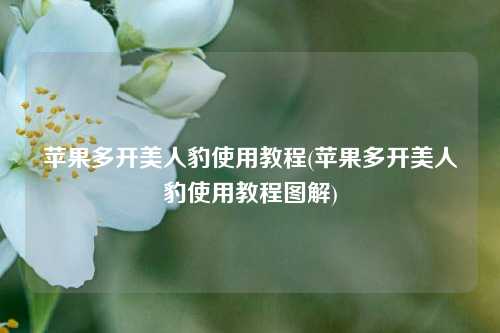 苹果多开美人豹使用教程(苹果多开美人豹使用教程图解)