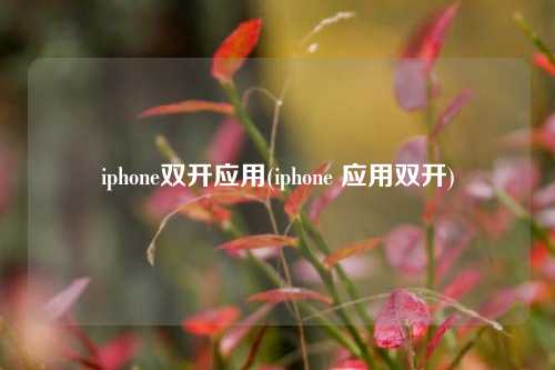 iphone双开应用(iphone 应用双开)