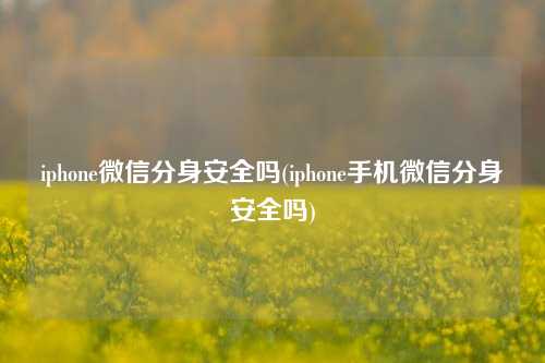 iphone微信分身安全吗(iphone手机微信分身安全吗)