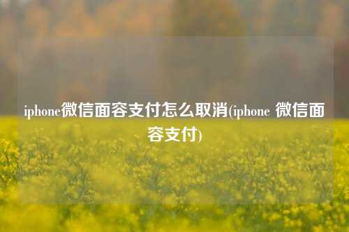 iphone微信面容支付怎么取消(iphone 微信面容支付)