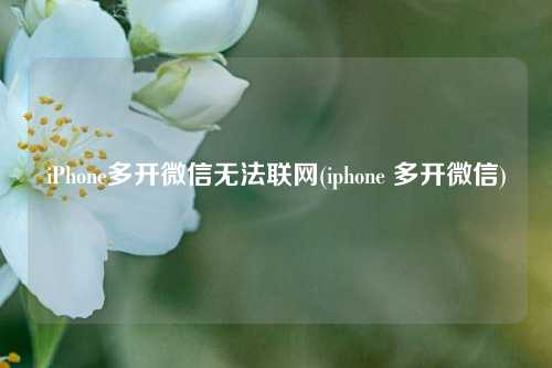 iPhone多开微信无法联网(iphone 多开微信)