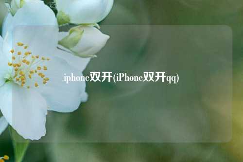 iphone双开(iPhone双开qq)