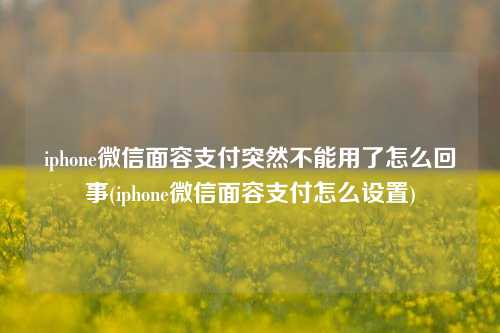 iphone微信面容支付突然不能用了怎么回事(iphone微信面容支付怎么设置)