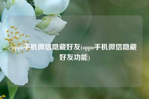 oppo手机微信隐藏好友(oppo手机微信隐藏好友功能)