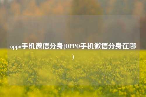 oppo手机微信分身(OPPO手机微信分身在哪)