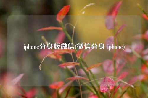 iphone分身版微信(微信分身 iphone)