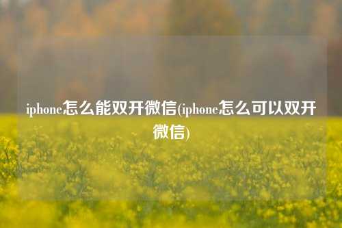 iphone怎么能双开微信(iphone怎么可以双开微信)