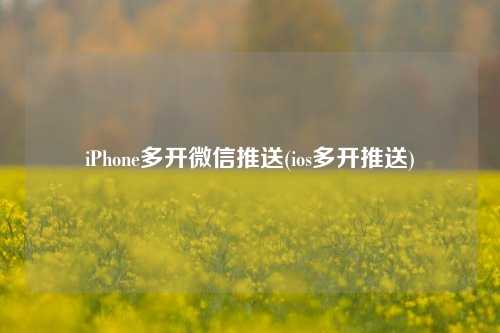 iPhone多开微信推送(ios多开推送)