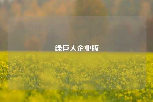 绿巨人企业版