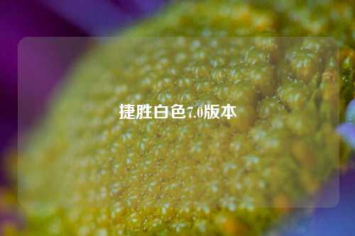 捷胜白色7.0版本