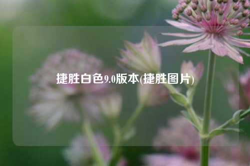 捷胜白色9.0版本(捷胜图片)