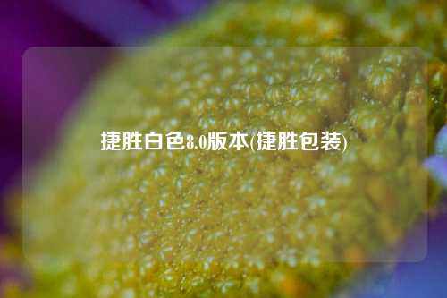 捷胜白色8.0版本(捷胜包装)