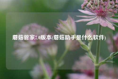 蘑菇管家7.0版本(蘑菇助手是什么软件)