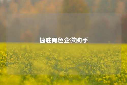 捷胜黑色企微助手