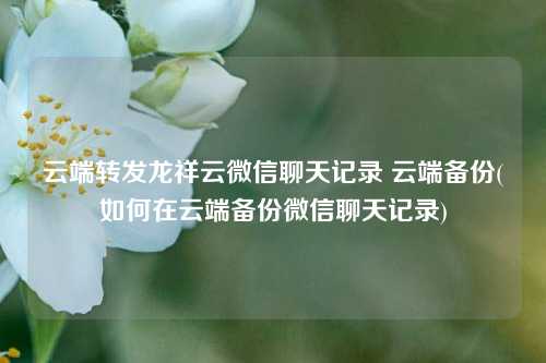 云端转发龙祥云微信聊天记录 云端备份(如何在云端备份微信聊天记录)