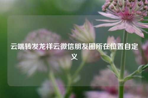 云端转发龙祥云微信朋友圈所在位置自定义