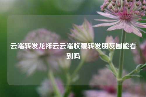 云端转发龙祥云云端收藏转发朋友圈能看到吗