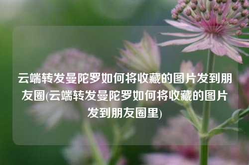 云端转发曼陀罗如何将收藏的图片发到朋友圈(云端转发曼陀罗如何将收藏的图片发到朋友圈里)