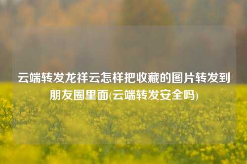 云端转发龙祥云怎样把收藏的图片转发到朋友圈里面(云端转发安全吗)