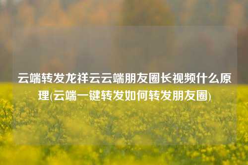 云端转发龙祥云云端朋友圈长视频什么原理(云端一键转发如何转发朋友圈)