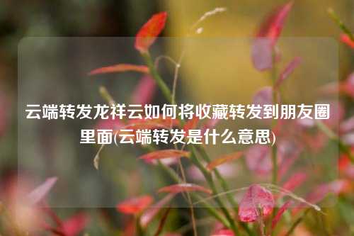 云端转发龙祥云如何将收藏转发到朋友圈里面(云端转发是什么意思)