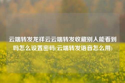 云端转发龙祥云云端转发收藏别人能看到吗怎么设置密码(云端转发语音怎么用)