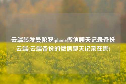 云端转发曼陀罗iphone微信聊天记录备份云端(云端备份的微信聊天记录在哪)