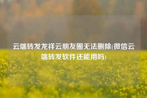 云端转发龙祥云朋友圈无法删除(微信云端转发软件还能用吗)